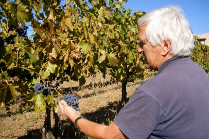 Colorado's Western Slope produces most of the state's wine grapes.