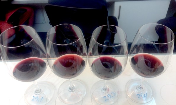 Gov.'s cup red wines