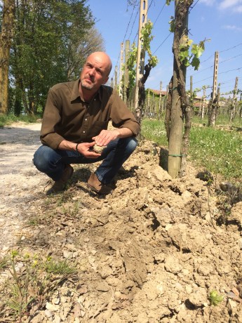 luca-formentini-selva-capuzza