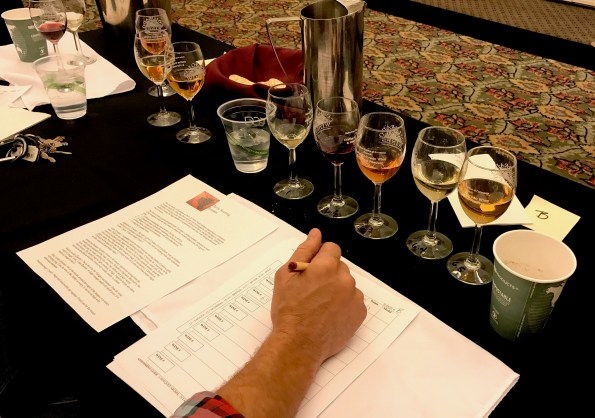 2017 amateur judge 1