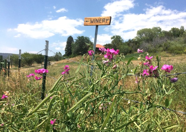 Wineopeners NF Uncorked 2018.jpg