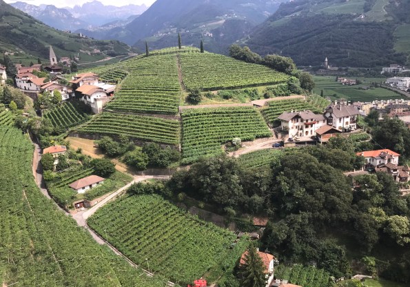 03182019 FD wine art 1